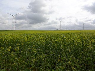 Wind Farm Riemst-Herderen