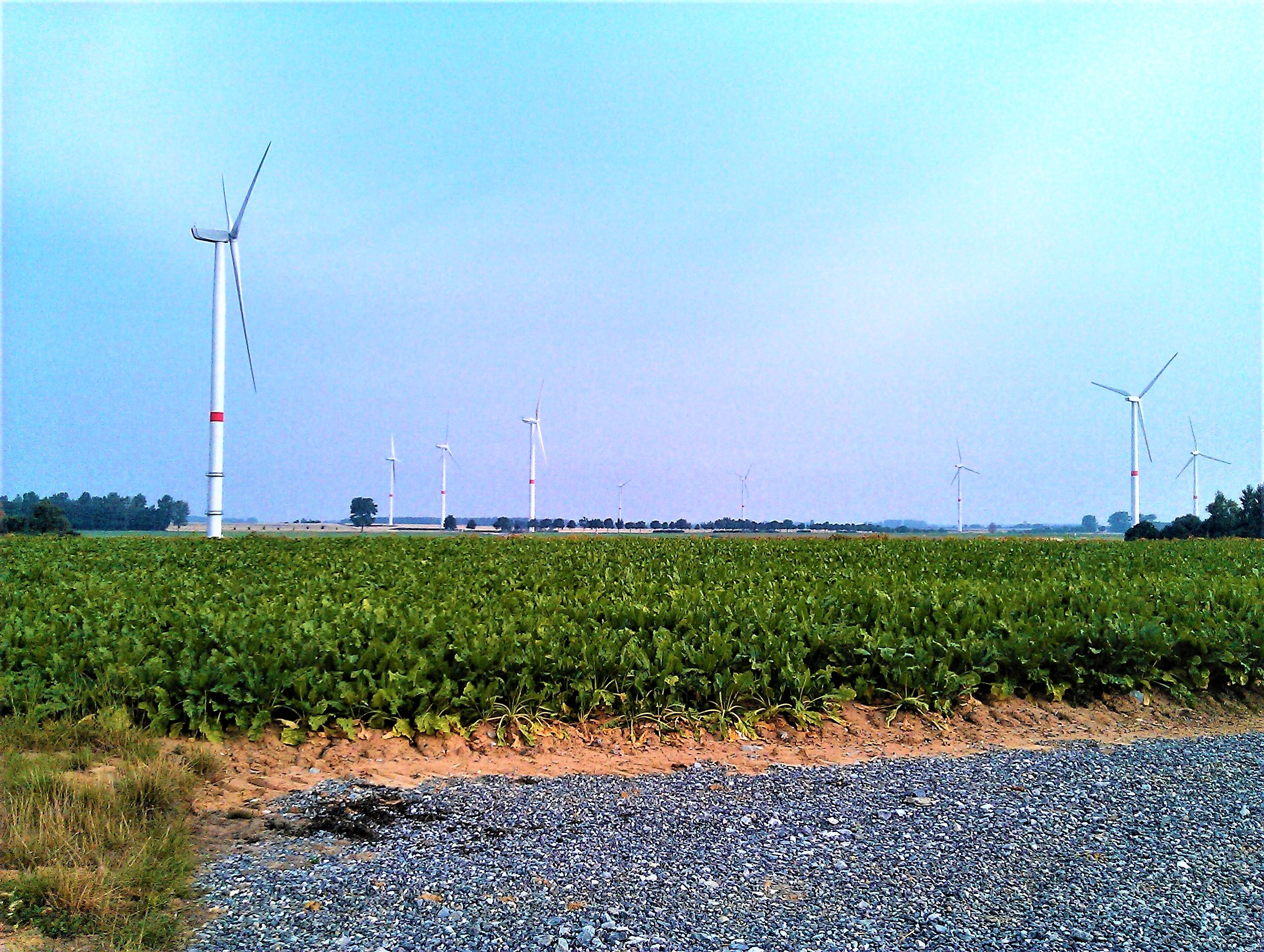 Wind Farm Perwez