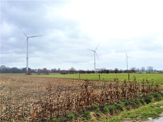 Wind Farm Westerlo II