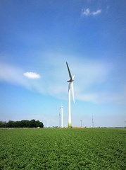 Wind turbine Lelystad